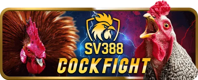 Truy cập trang chủ bet789 và tìm nút đăng nhập